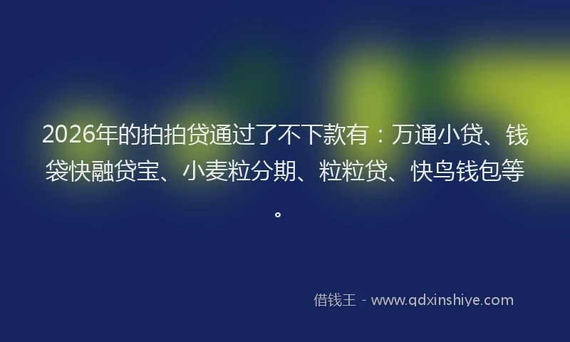 2026年的拍拍贷通过了不下款有：万通小贷、钱袋快融贷宝、小麦粒分期、粒粒贷、快鸟钱包等。