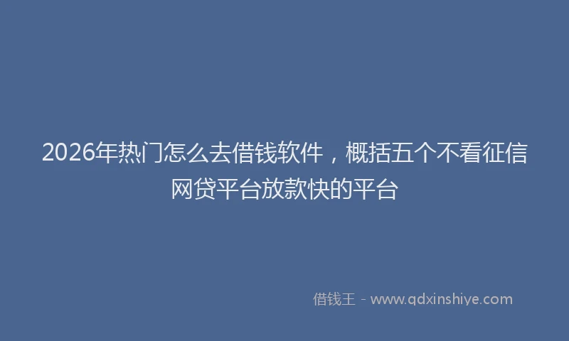 2026年热门怎么去借钱软件，概括五个不看征信网贷平台放款快的平台