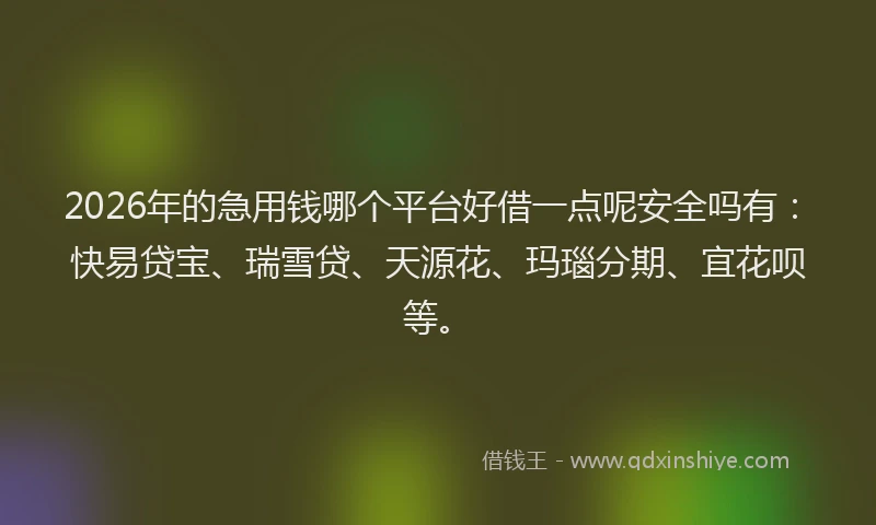 2026年的急用钱哪个平台好借一点呢安全吗有：快易贷宝、瑞雪贷、天源花、玛瑙分期、宜花呗等。