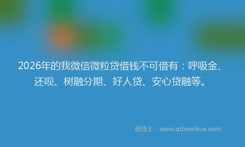 2026年的我微信微粒贷借钱不可借有:呼吸金、还呗、树融分期、好人贷、安心贷融等。