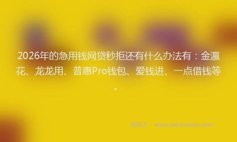 2026年的急用钱网贷秒拒还有什么办法有:金瀛花、龙龙用、普惠Pro钱包、爱钱进、一点借钱等。