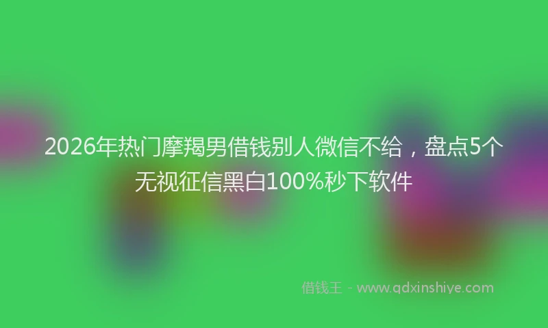 2026年热门摩羯男借钱别人微信不给，盘点5个无视征信黑白100%秒下软件