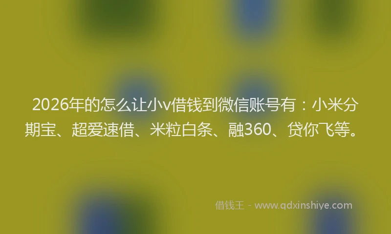 2026年的怎么让小v借钱到微信账号有：小米分期宝、超爱速借、米粒白条、融360、贷你飞等。