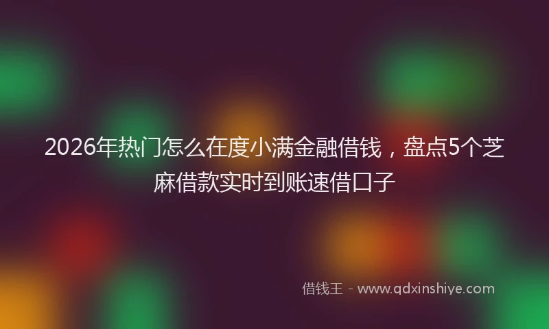 2026年热门怎么在度小满金融借钱，盘点5个芝麻借款实时到账速借口子