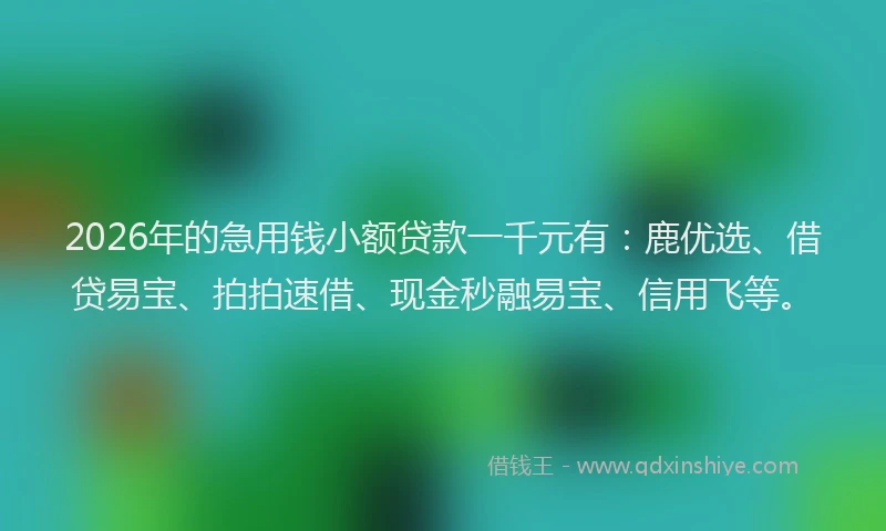 2026年的急用钱小额贷款一千元有：鹿优选、借贷易宝、拍拍速借、现金秒融易宝、信用飞等。