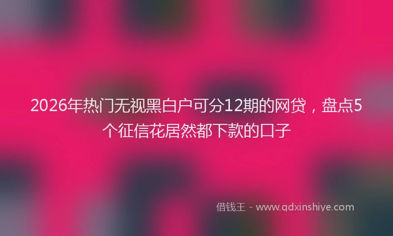 2026年热门无视黑白户可分12期的网贷，盘点5个征信花居然都下款的口子