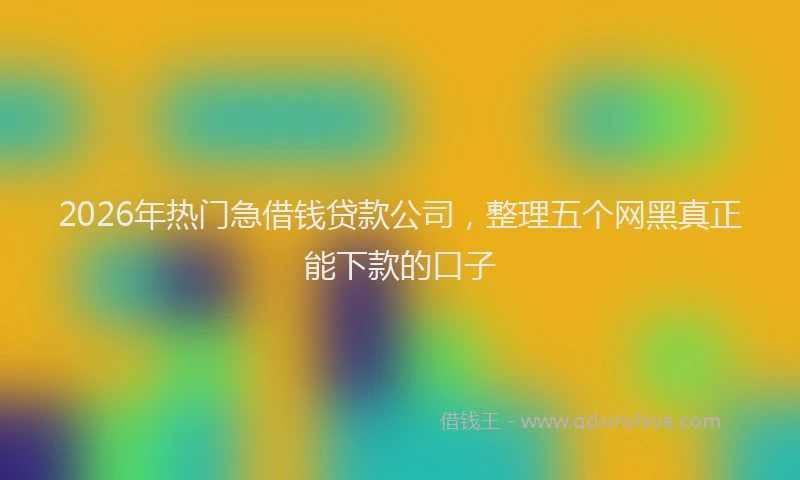 2026年热门急借钱贷款公司，整理五个网黑真正能下款的口子
