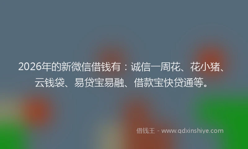 2026年的新微信借钱有:诚信一周花、花小猪、云钱袋、易贷宝易融、借款宝快贷通等。