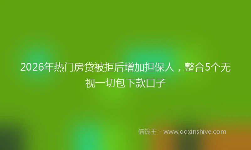 2026年热门房贷被拒后增加担保人，整合5个无视一切包下款口子