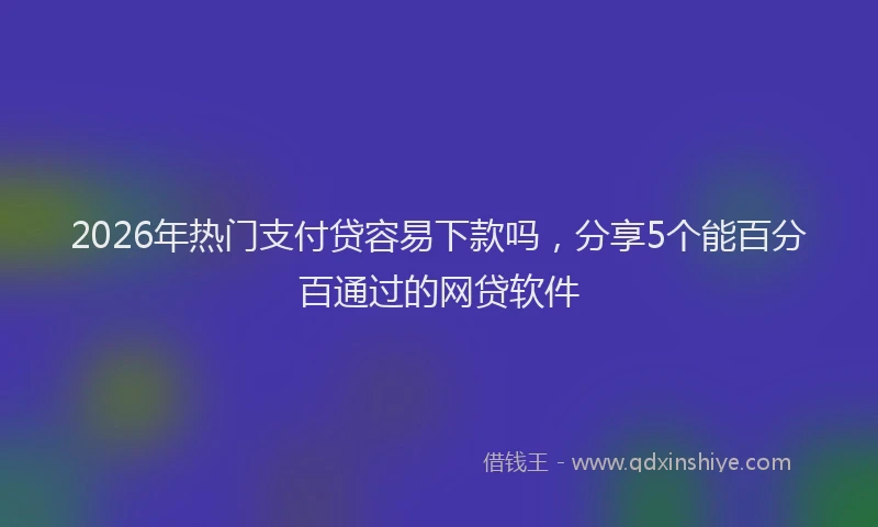 2026年热门支付贷容易下款吗，分享5个能百分百通过的网贷软件