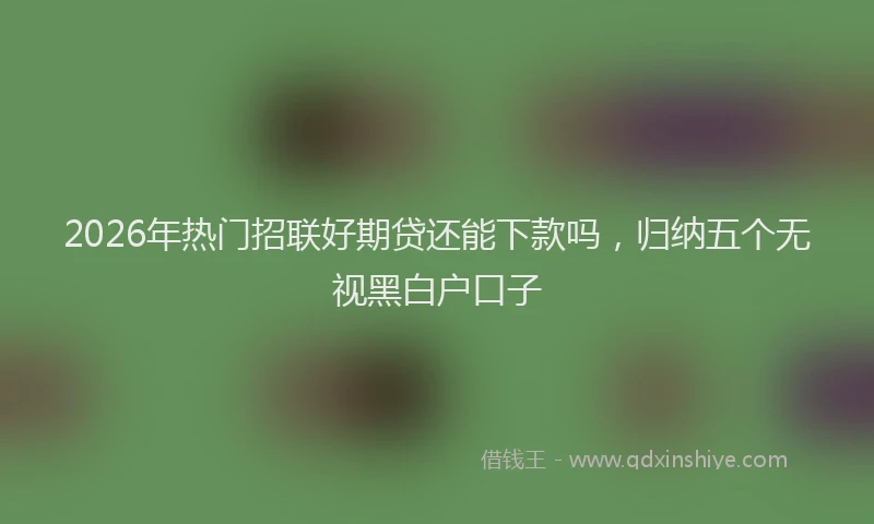 2026年热门招联好期贷还能下款吗，归纳五个无视黑白户口子