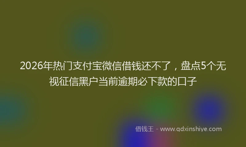 2026年热门支付宝微信借钱还不了，盘点5个无视征信黑户当前逾期必下款的口子