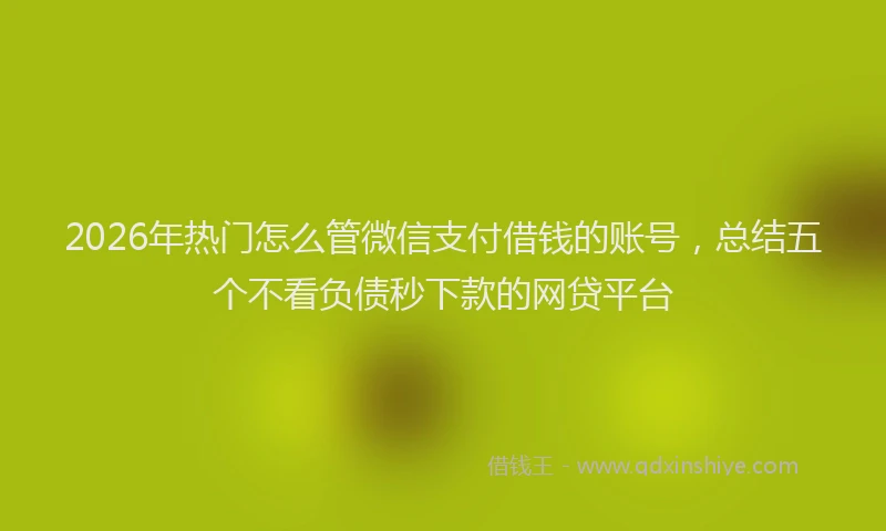 2026年热门怎么管微信支付借钱的账号，总结五个不看负债秒下款的网贷平台