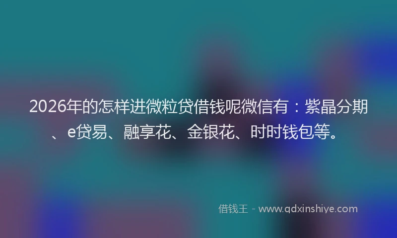 2026年的怎样进微粒贷借钱呢微信有：紫晶分期、e贷易、融享花、金银花、时时钱包等。