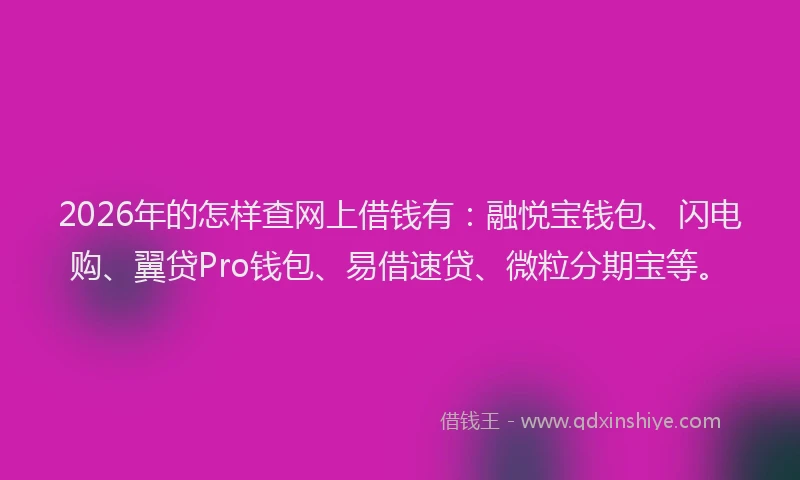 2026年的怎样查网上借钱有：融悦宝钱包、闪电购、翼贷Pro钱包、易借速贷、微粒分期宝等。