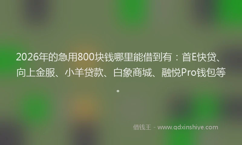 2026年的急用800块钱哪里能借到有：首E快贷、向上金服、小羊贷款、白象商城、融悦Pro钱包等。