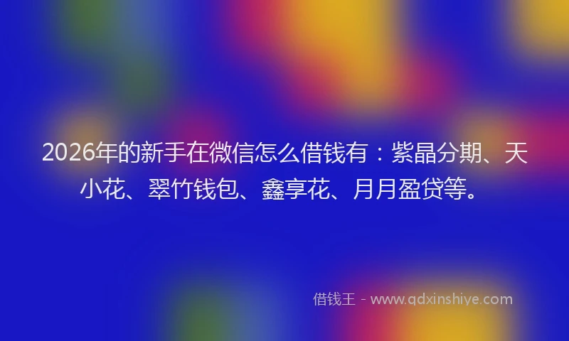 2026年的新手在微信怎么借钱有：紫晶分期、天小花、翠竹钱包、鑫享花、月月盈贷等。