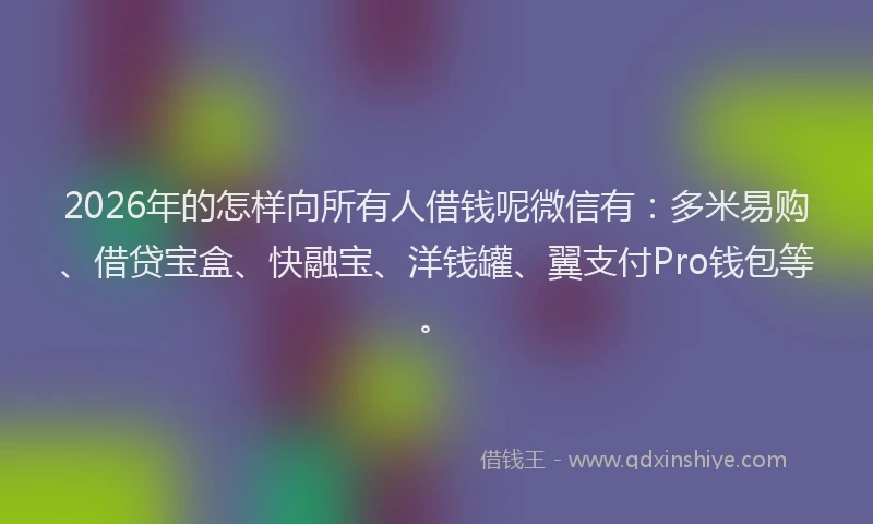 2026年的怎样向所有人借钱呢微信有：多米易购、借贷宝盒、快融宝、洋钱罐、翼支付Pro钱包等。