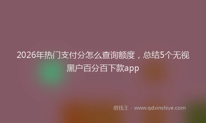 2026年热门支付分怎么查询额度，总结5个无视黑户百分百下款app