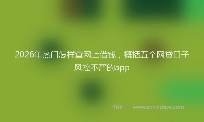 2026年热门怎样查网上借钱，概括五个网贷口子风控不严的app