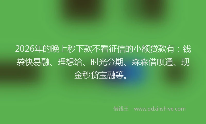 2026年的晚上秒下款不看征信的小额贷款有：钱袋快易融、理想给、时光分期、森森借呗通、现金秒贷宝融等。