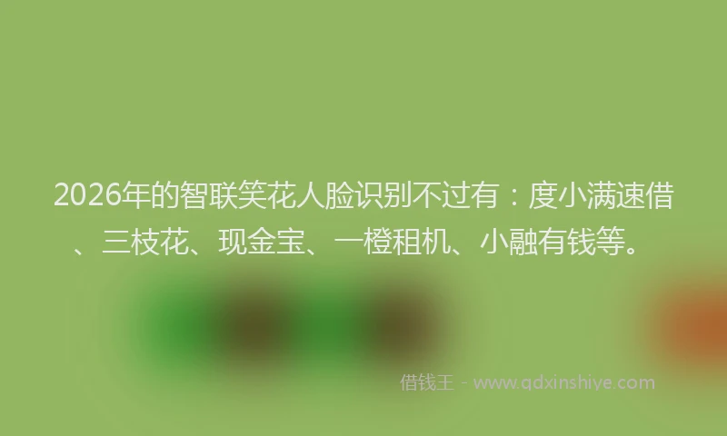 2026年的智联笑花人脸识别不过有：度小满速借、三枝花、现金宝、一橙租机、小融有钱等。