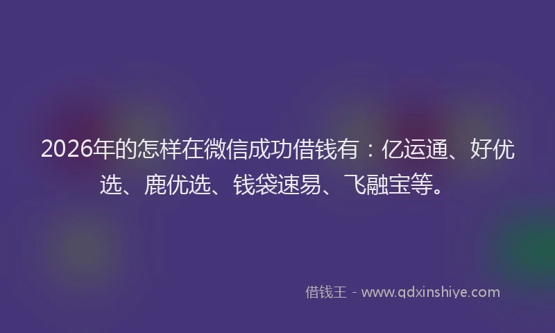 2026年的怎样在微信成功借钱有：亿运通、好优选、鹿优选、钱袋速易、飞融宝等。