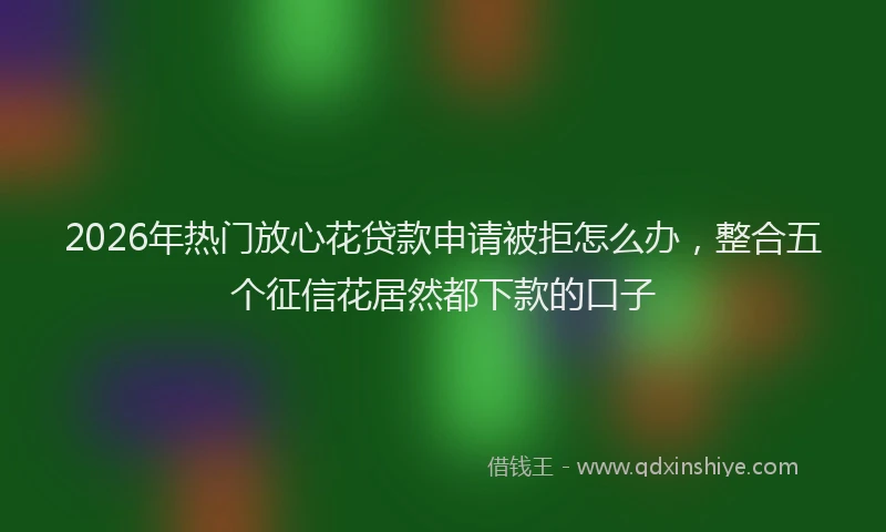 2026年热门放心花贷款申请被拒怎么办，整合五个征信花居然都下款的口子