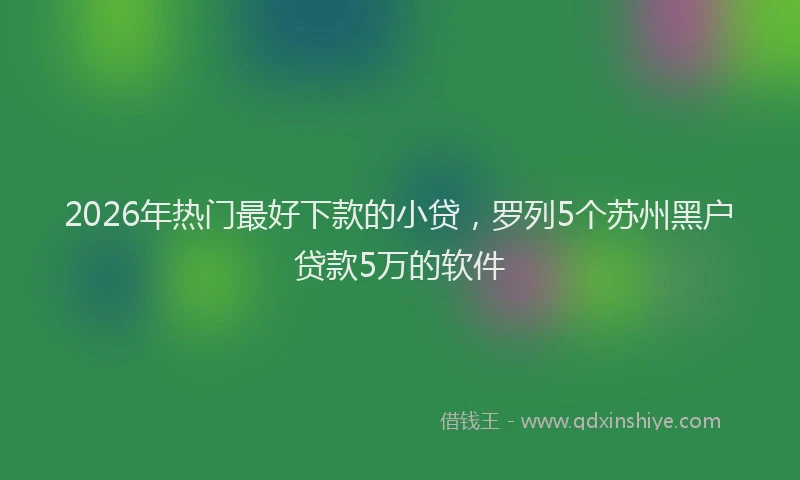2026年热门最好下款的小贷，罗列5个苏州黑户贷款5万的软件