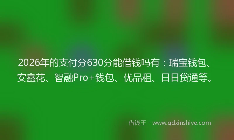 2026年的支付分630分能借钱吗有：瑞宝钱包、安鑫花、智融Pro+钱包、优品租、日日贷通等。