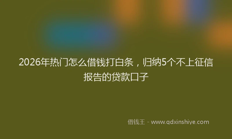 2026年热门怎么借钱打白条，归纳5个不上征信报告的贷款口子