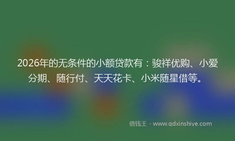 2026年的无条件的小额贷款有：骏祥优购、小爱分期、随行付、天天花卡、小米随星借等。