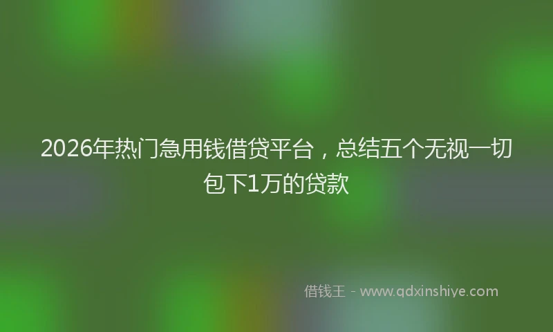 2026年热门急用钱借贷平台，总结五个无视一切包下1万的贷款