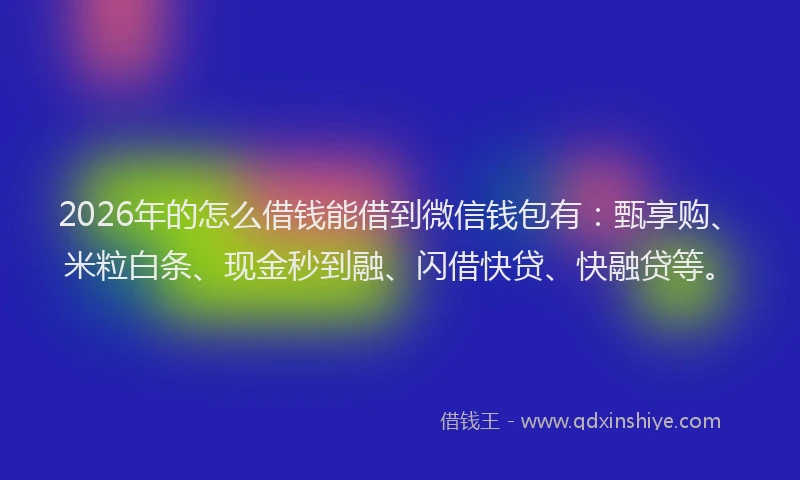 2026年的怎么借钱能借到微信钱包有：甄享购、米粒白条、现金秒到融、闪借快贷、快融贷等。