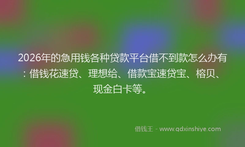 2026年的急用钱各种贷款平台借不到款怎么办有：借钱花速贷、理想给、借款宝速贷宝、榕贝、现金白卡等。