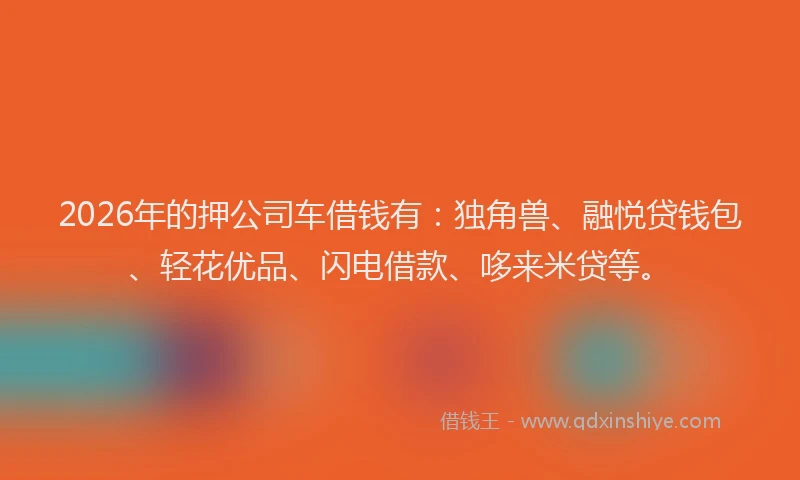 2026年的押公司车借钱有:独角兽、融悦贷钱包、轻花优品、闪电借款、哆来米贷等。