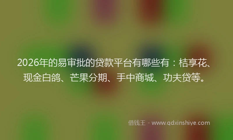 2026年的易审批的贷款平台有哪些有：桔享花、现金白鸽、芒果分期、手中商城、功夫贷等。