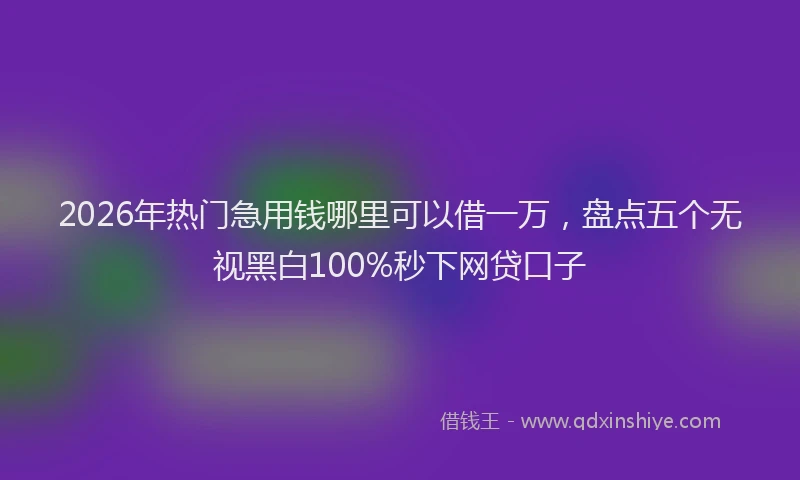 2026年热门急用钱哪里可以借一万，盘点五个无视黑白100%秒下网贷口子
