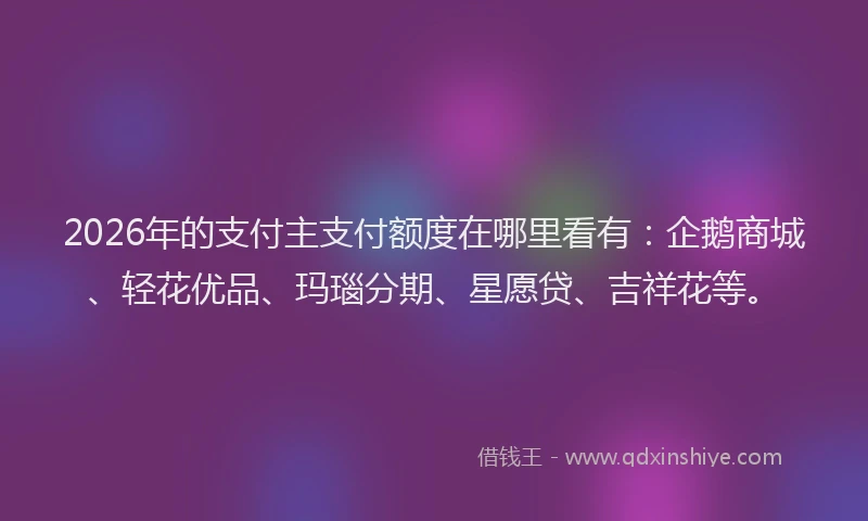 2026年的支付主支付额度在哪里看有：企鹅商城、轻花优品、玛瑙分期、星愿贷、吉祥花等。