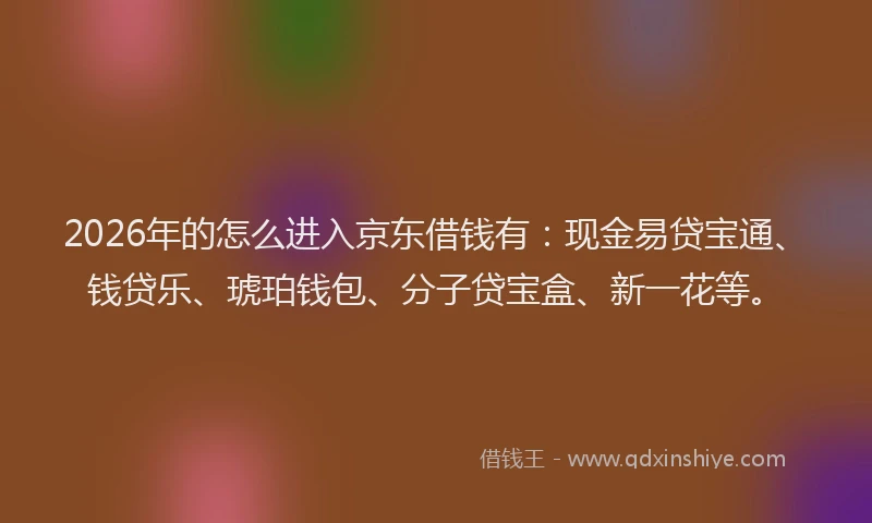 2026年的怎么进入京东借钱有：现金易贷宝通、钱贷乐、琥珀钱包、分子贷宝盒、新一花等。