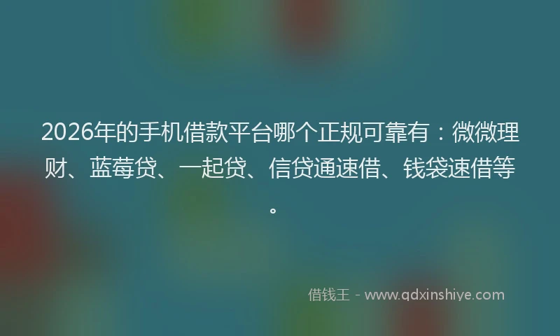 2026年的手机借款平台哪个正规可靠有:微微理财、蓝莓贷、一起贷、信贷通速借、钱袋速借等。