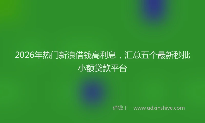 2026年热门新浪借钱高利息，汇总五个最新秒批小额贷款平台