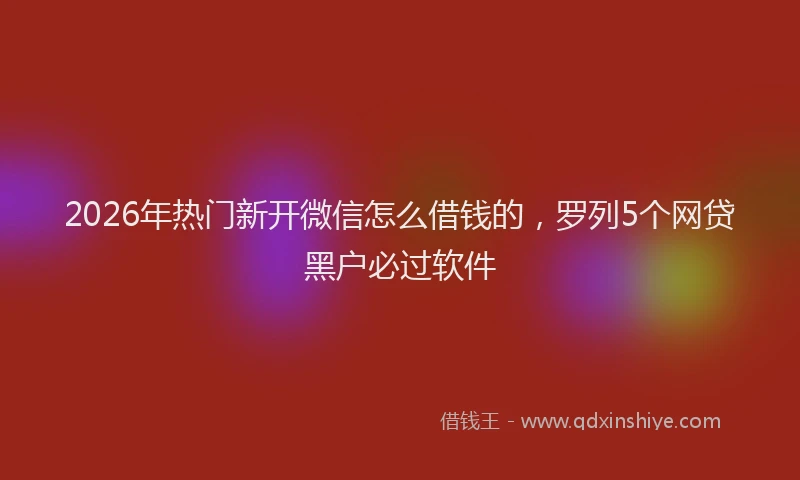 2026年热门新开微信怎么借钱的，罗列5个网贷黑户必过软件