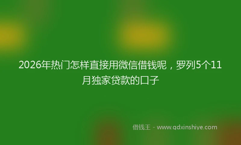 2026年热门怎样直接用微信借钱呢，罗列5个11月独家贷款的口子