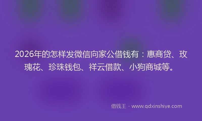 2026年的怎样发微信向家公借钱有：惠商贷、玫瑰花、珍珠钱包、祥云借款、小狗商城等。