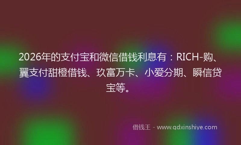2026年的支付宝和微信借钱利息有:RICH-购、翼支付甜橙借钱、玖富万卡、小爱分期、瞬信贷宝等。