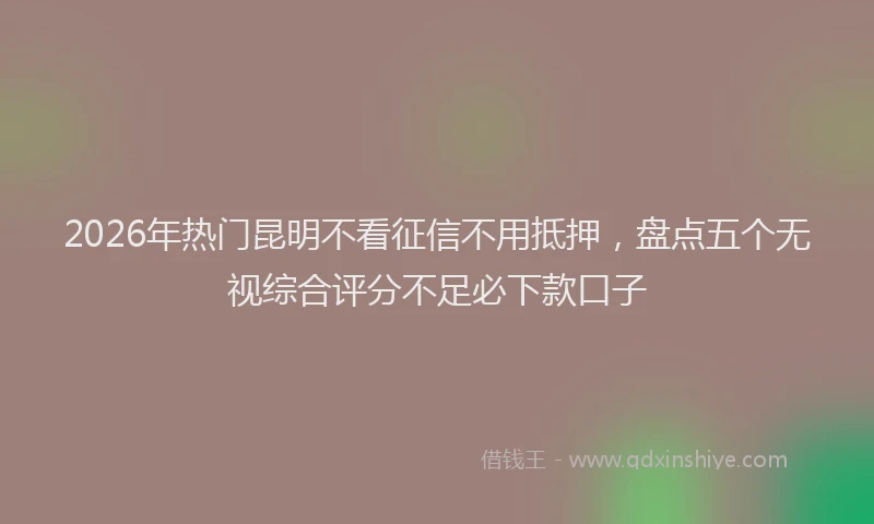 2026年热门昆明不看征信不用抵押，盘点五个无视综合评分不足必下款口子