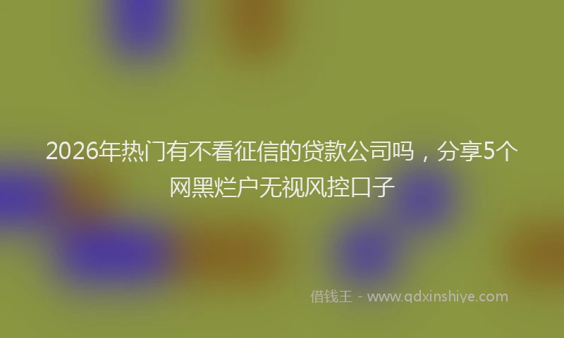 2026年热门有不看征信的贷款公司吗，分享5个网黑烂户无视风控口子