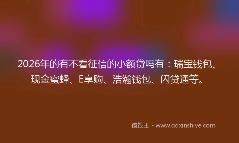 2026年的有不看征信的小额贷吗有:瑞宝钱包、现金蜜蜂、E享购、浩瀚钱包、闪贷通等。