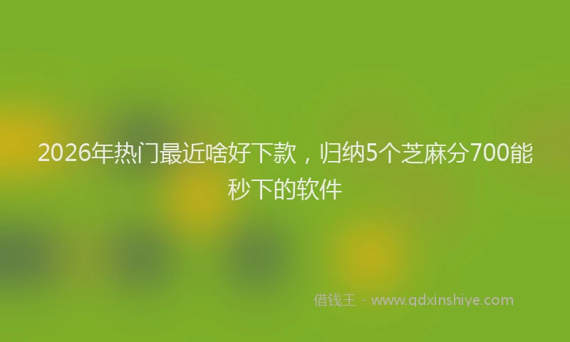 2026年热门最近啥好下款，归纳5个芝麻分700能秒下的软件